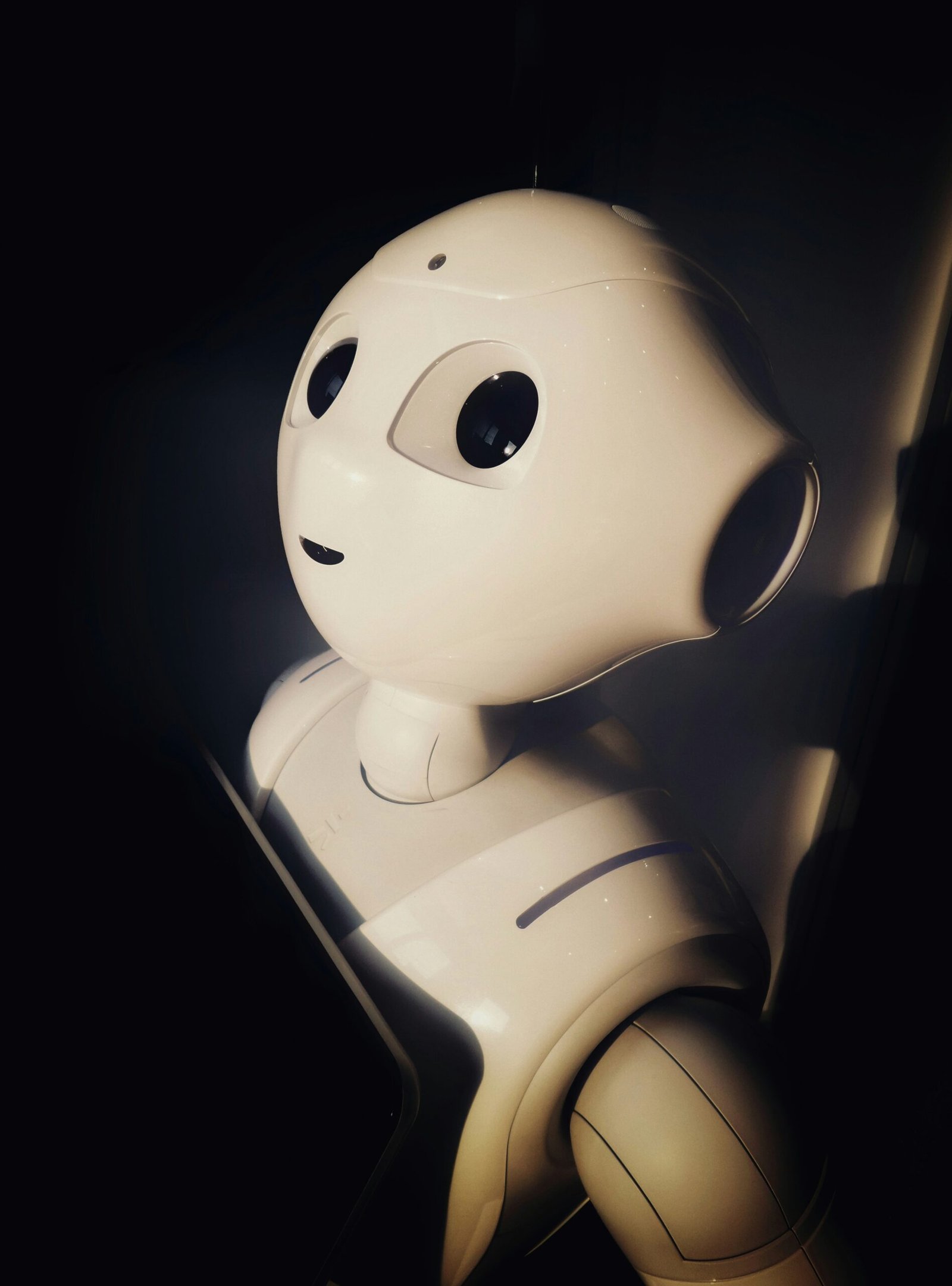 How Humanoid Robots Are Reshaping Industries Worldwide