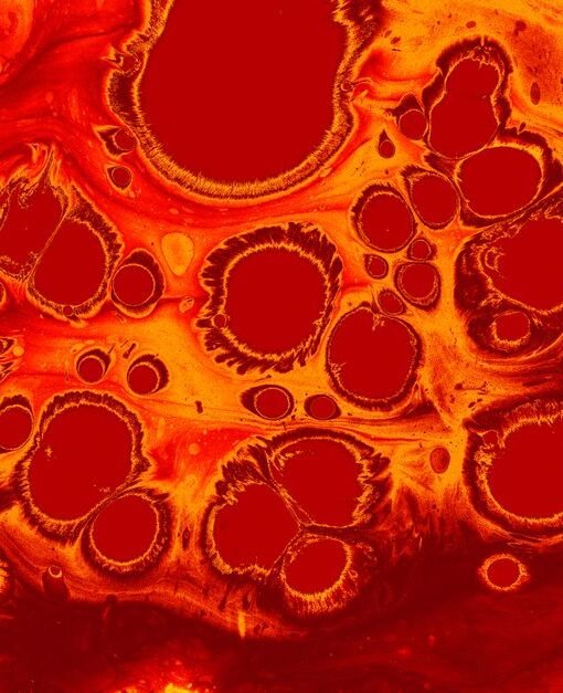 Old muscle stem cells can act young again but there’s a catch – ScienceDaily