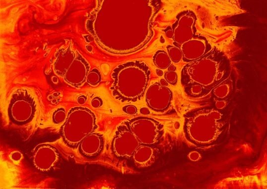 Old muscle stem cells can act young again but there’s a catch – ScienceDaily