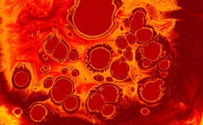 Old muscle stem cells can act young again but there’s a catch – ScienceDaily