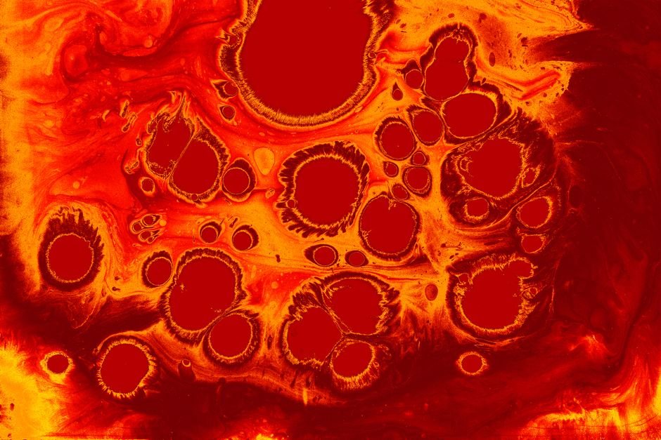 Old muscle stem cells can act young again but there’s a catch – ScienceDaily