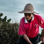 China influencer’s act of kindness ends in tragedy as farmer dies in car crash after shared lunch – The Star