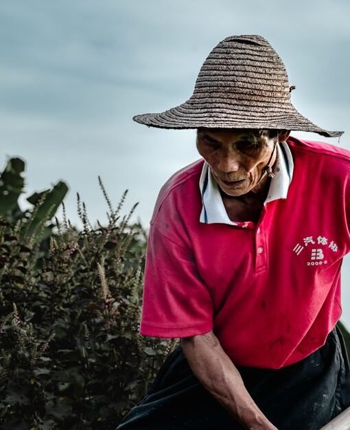 China influencer’s act of kindness ends in tragedy as farmer dies in car crash after shared lunch – The Star