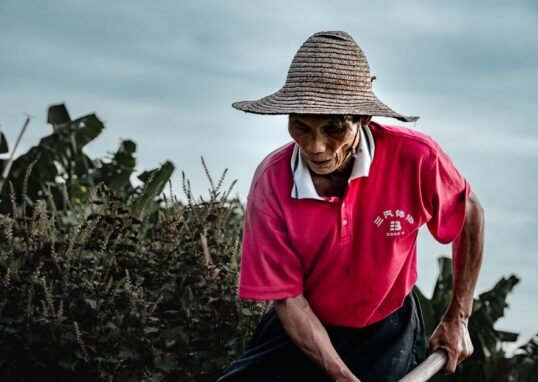 China influencer’s act of kindness ends in tragedy as farmer dies in car crash after shared lunch – The Star