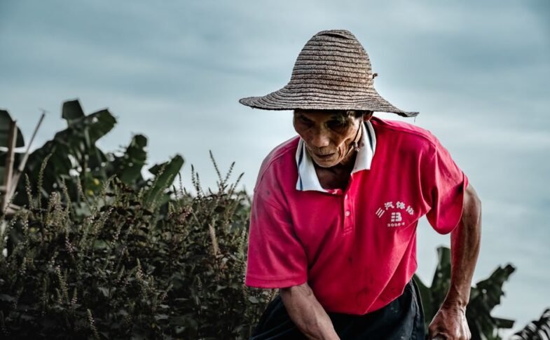 China influencer’s act of kindness ends in tragedy as farmer dies in car crash after shared lunch – The Star