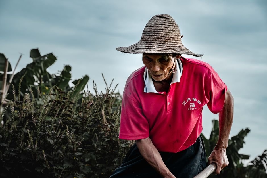China influencer’s act of kindness ends in tragedy as farmer dies in car crash after shared lunch – The Star