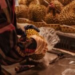 Vietnamese coffee farmers ride China’s durian wave – The Star